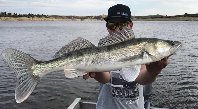 KSFV Jugend Zanderangeln NOK